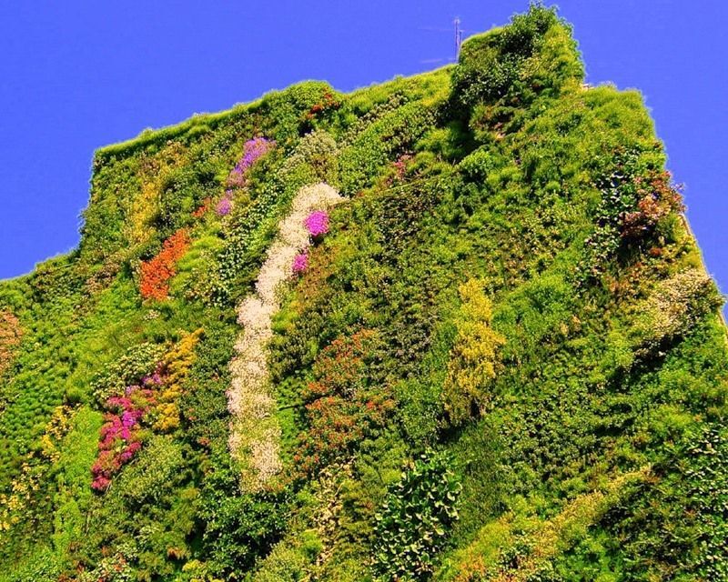 Приголомшливі вертикальні сади