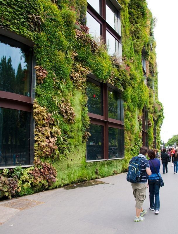 Приголомшливі вертикальні сади