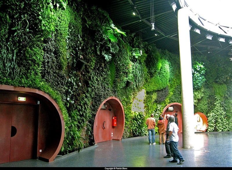 Приголомшливі вертикальні сади