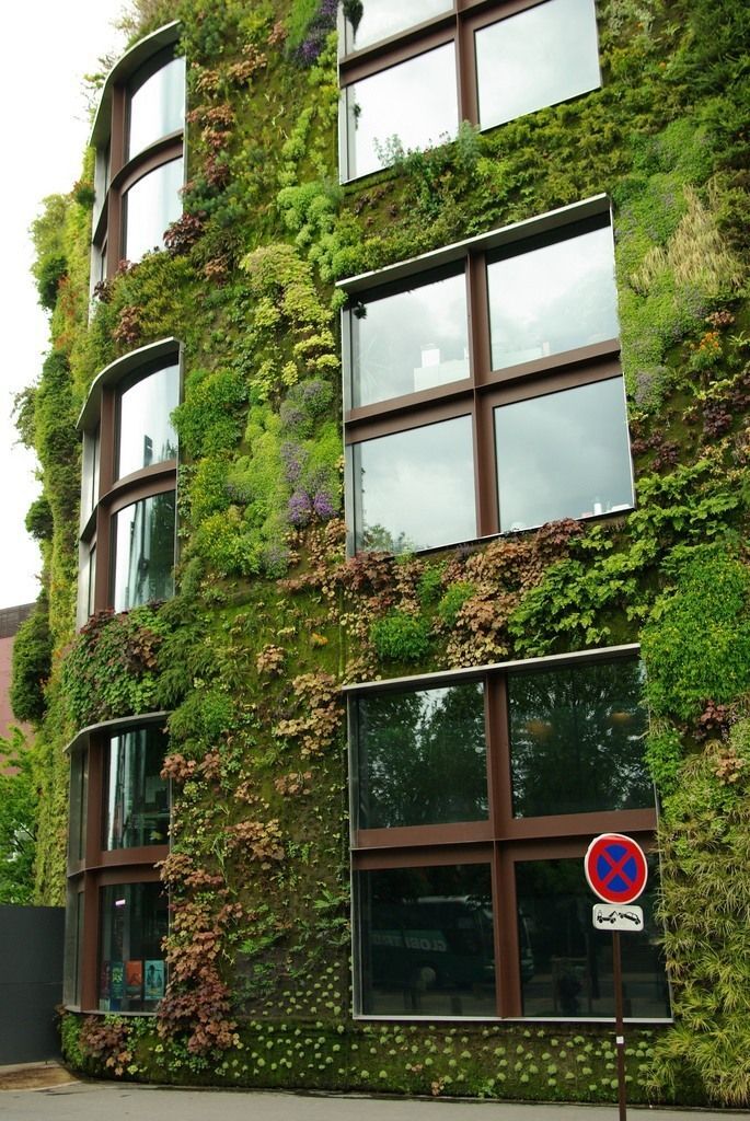 Приголомшливі вертикальні сади