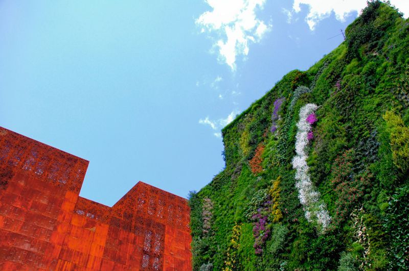 Приголомшливі вертикальні сади