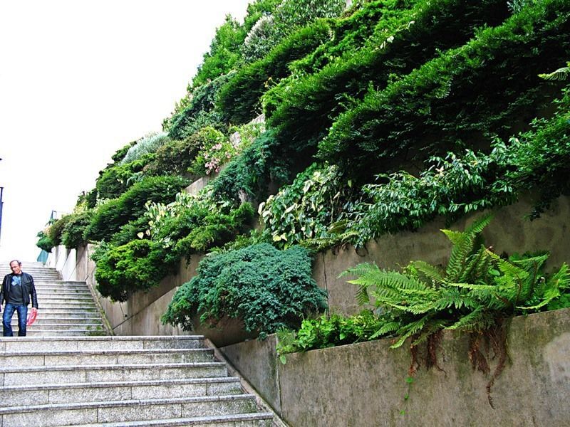 Приголомшливі вертикальні сади