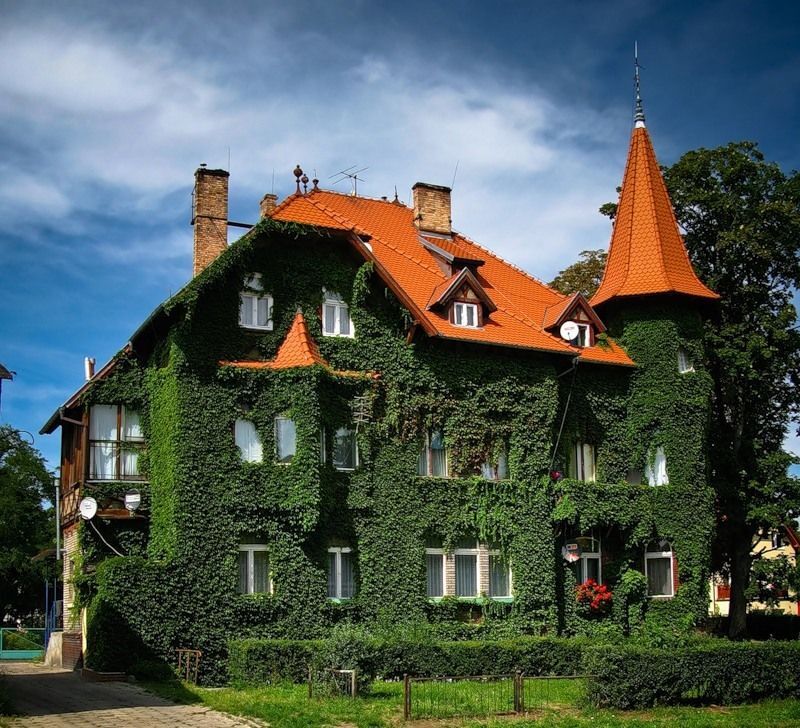 Приголомшливі вертикальні сади