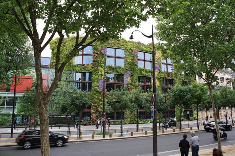 Приголомшливі вертикальні сади