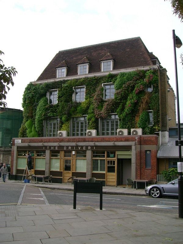 Приголомшливі вертикальні сади