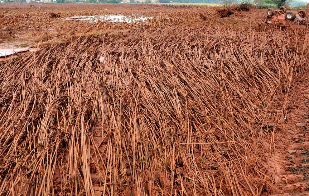 Прорив резервуара з токсичними відходами в Угорщині: рік по тому