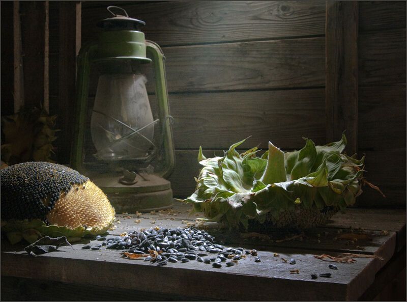 Ностальгічні натюрморти а-ля СРСР