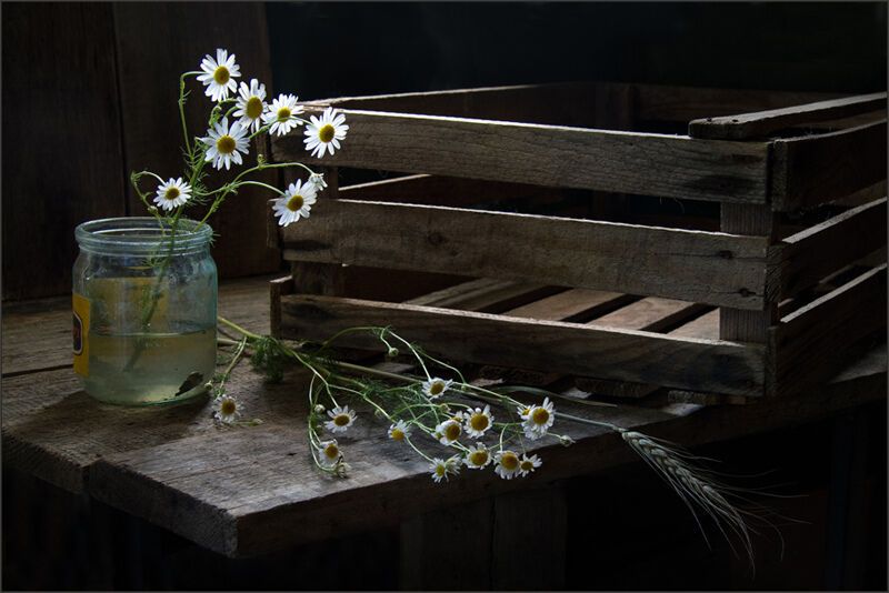 Ностальгічні натюрморти а-ля СРСР