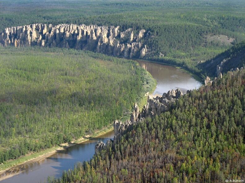 Ленский каменный лес