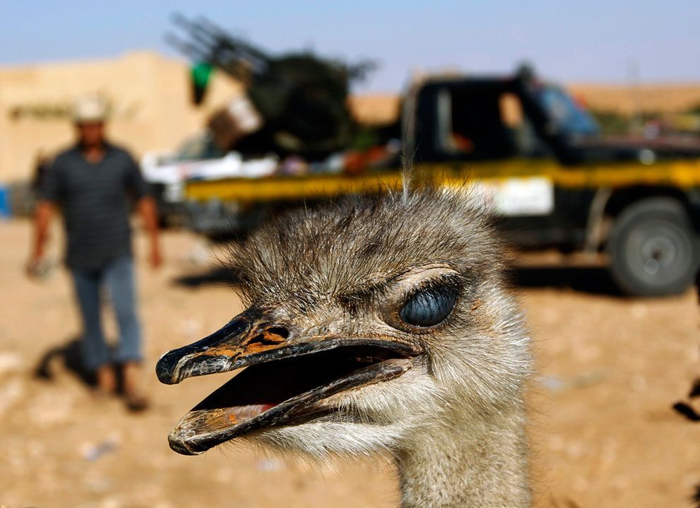 Повстанці в Лівії атакують останні осередки опору сил Каддафі