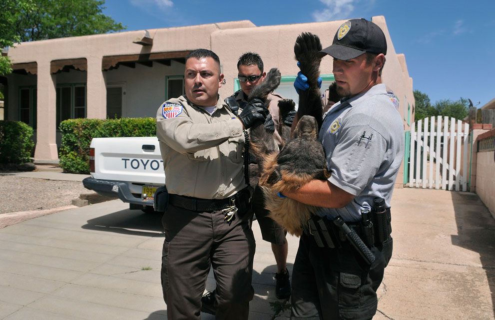 Тварини в новинах, 7 жовтня 2011