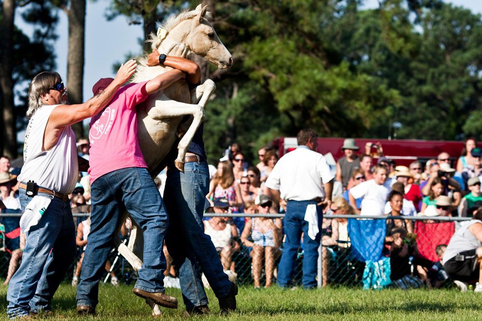 Тварини в новинах, 7 жовтня 2011