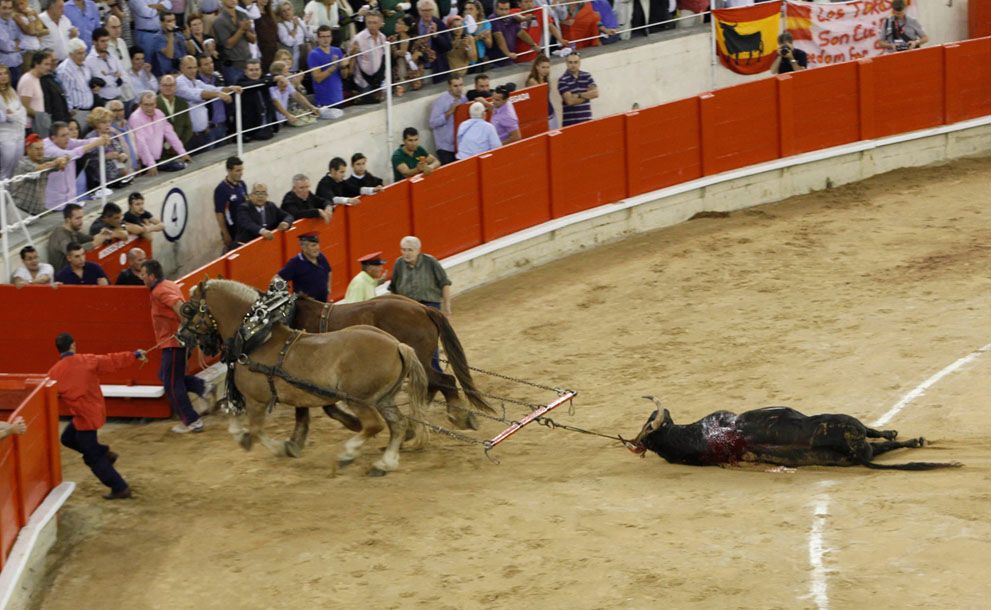 Тварини в новинах, 7 жовтня 2011