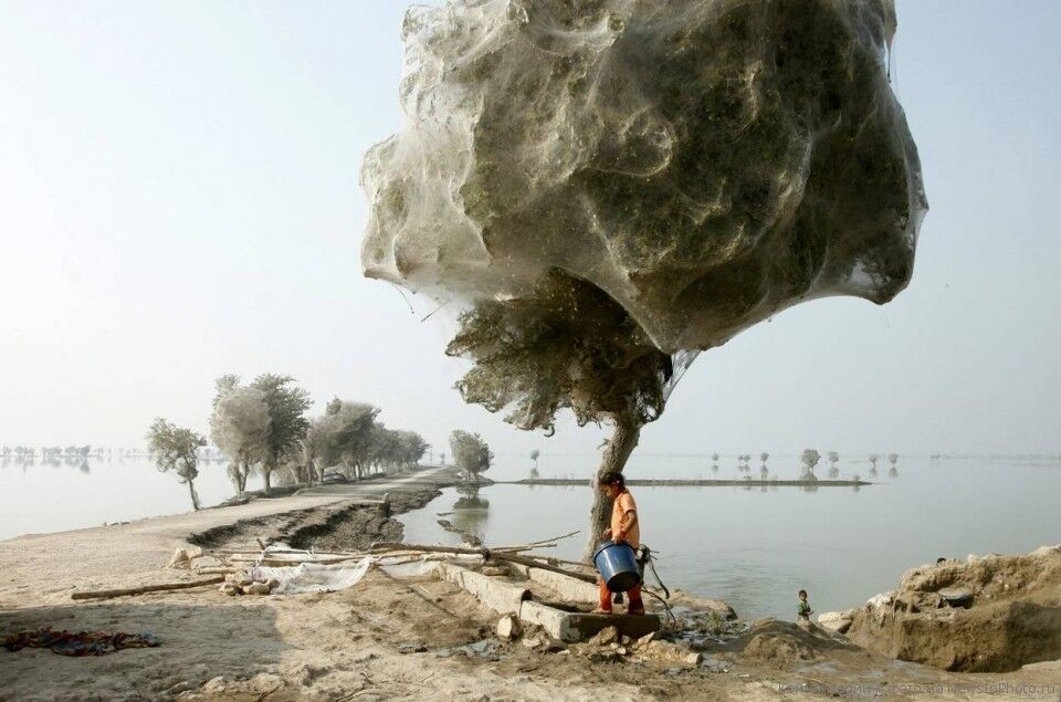 Лучшие работы фотоконкурса National Geographic 2011