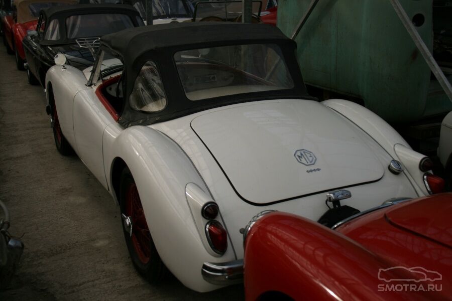 Невероятная коллекция машин найдена в Голландии. Фото 