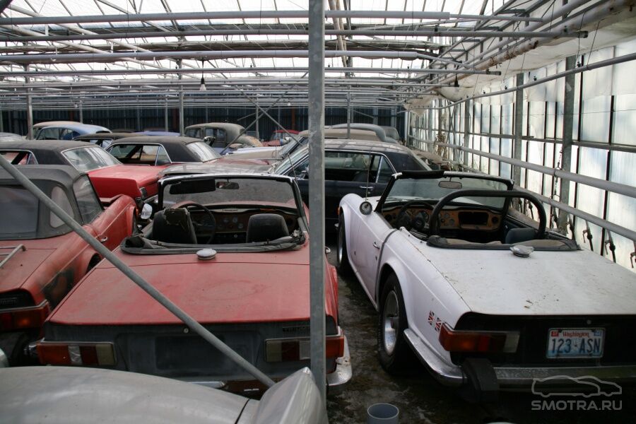 Невероятная коллекция машин найдена в Голландии. Фото 