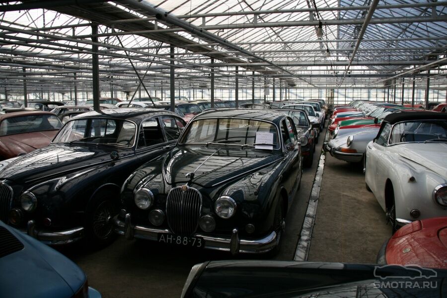 Невероятная коллекция машин найдена в Голландии. Фото 