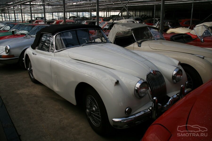 Невероятная коллекция машин найдена в Голландии. Фото 