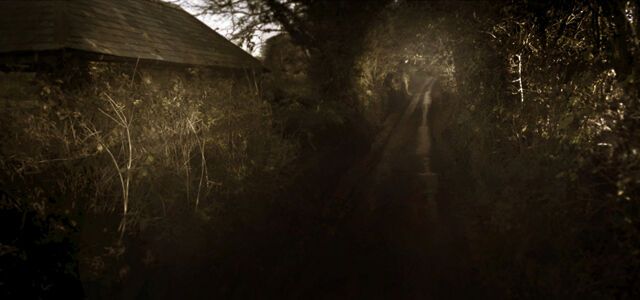 Панорамы из карт Google стали искусством. Фото 