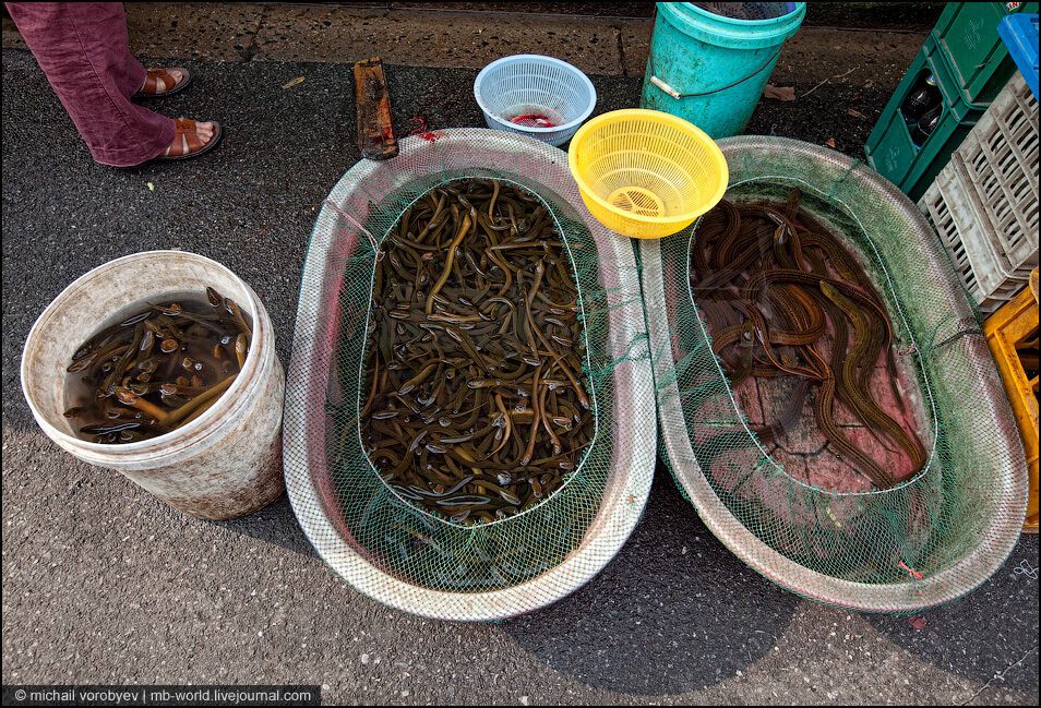 Китай: Шанхайські нетрі