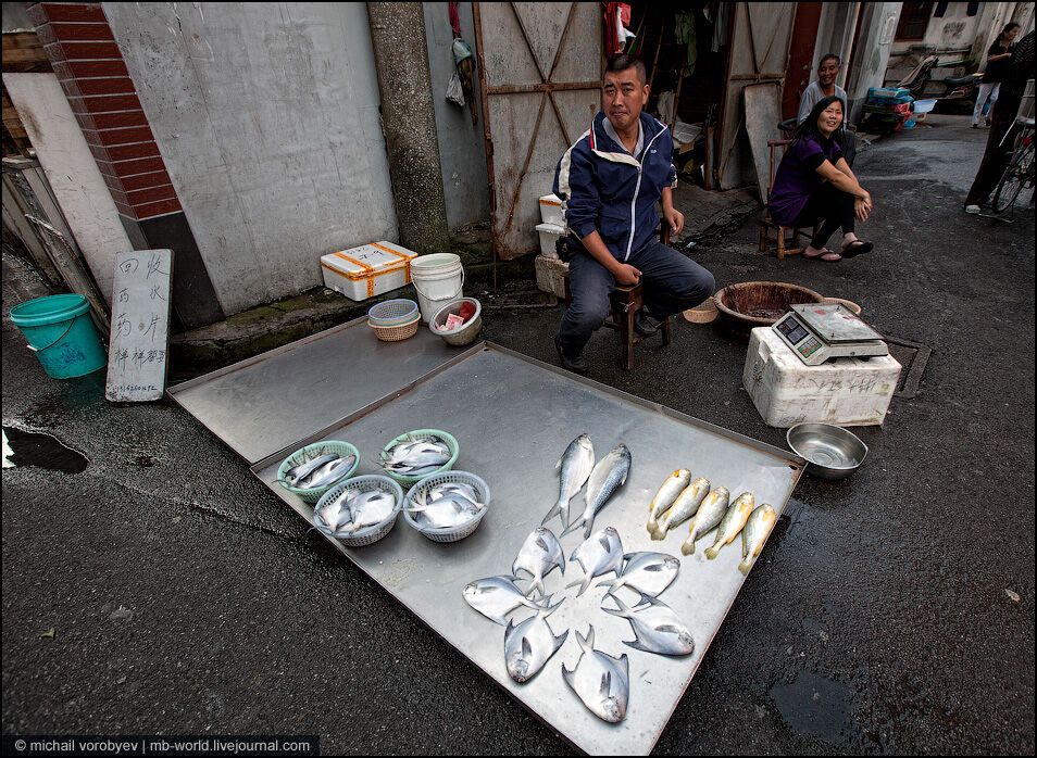 Китай: Шанхайські нетрі