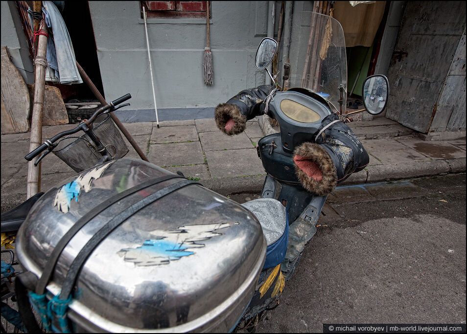 Китай: Шанхайські нетрі