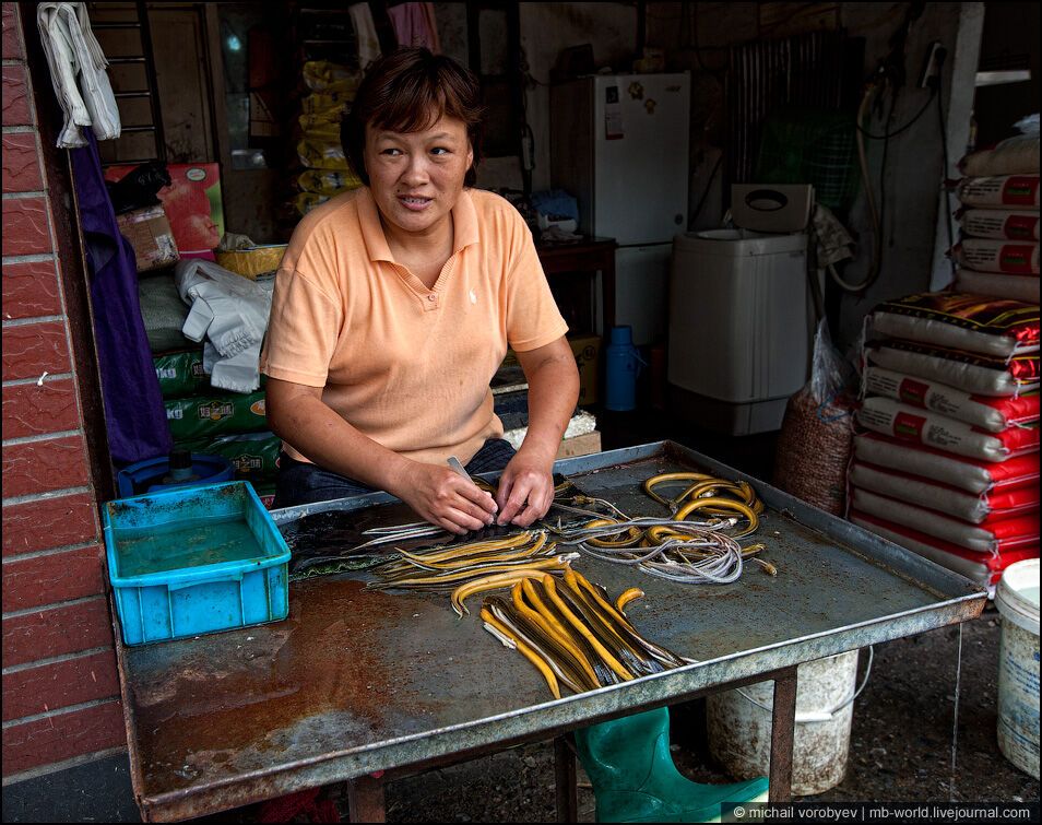 Китай: Шанхайські нетрі