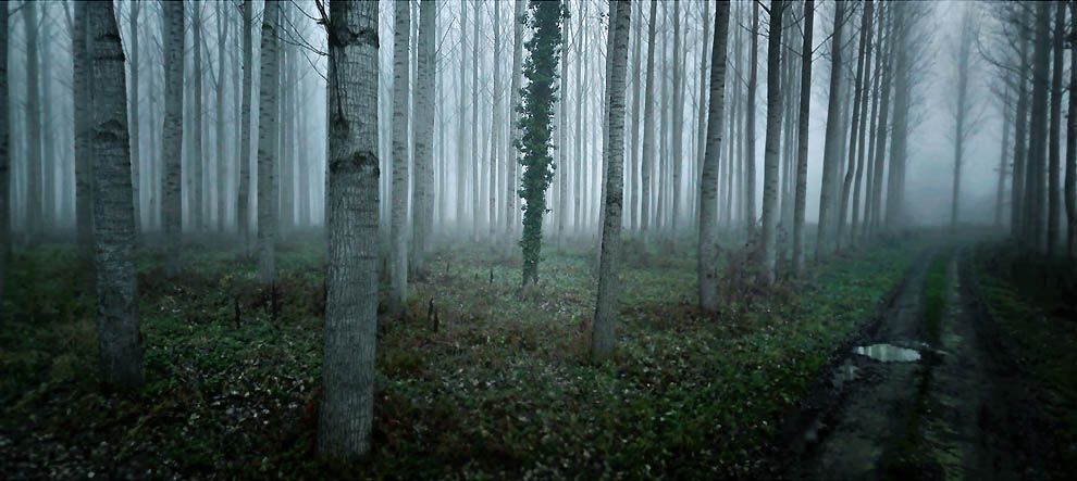 Фотографии с помощью сервиса Google