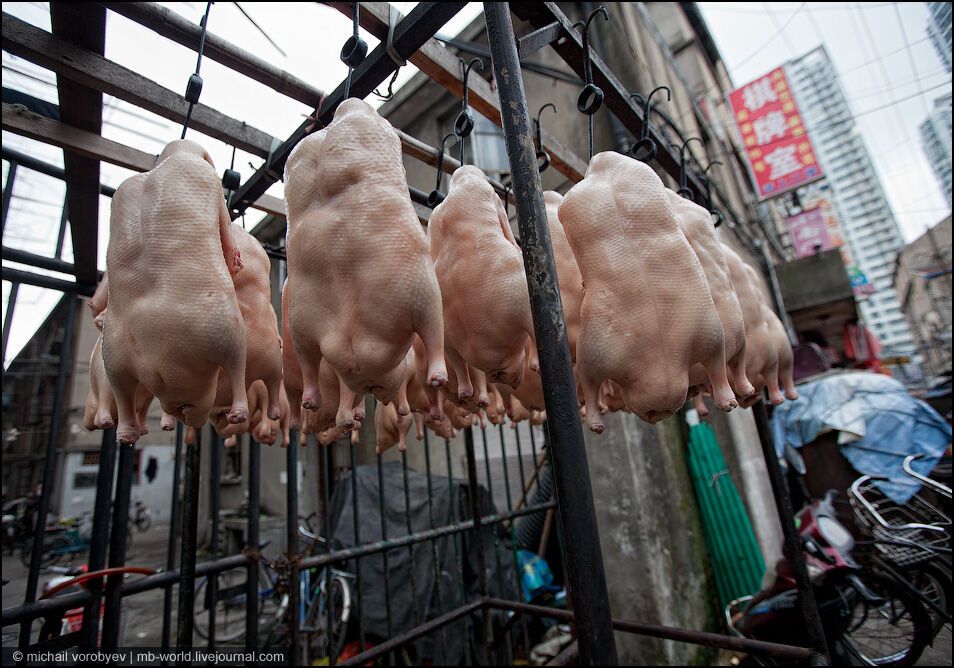 Китай: Шанхайські нетрі