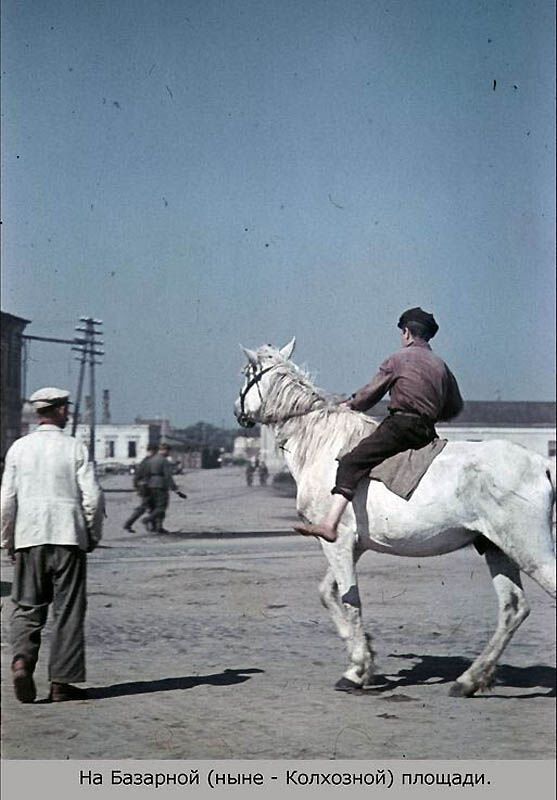 Повседневная жизнь оккупированного Смоленска в цвете