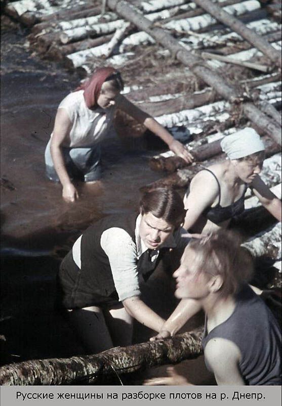 Повседневная жизнь оккупированного Смоленска в цвете