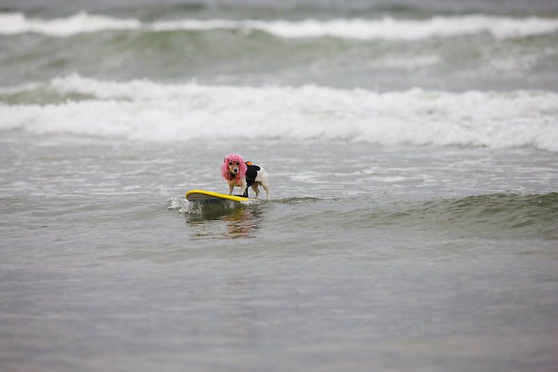 Незвичайні види спорту