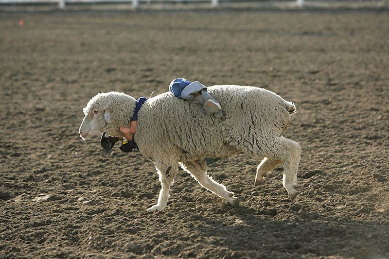 Незвичайні види спорту