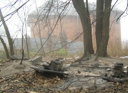В Киеве бродячих собак начали сжигать. Фото