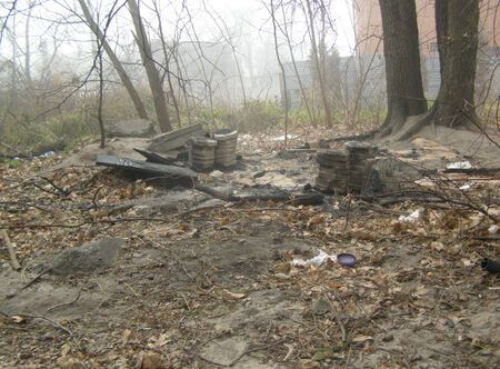 В Киеве бродячих собак начали сжигать. Фото