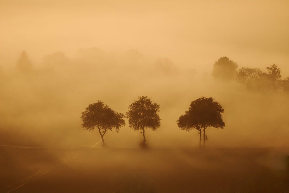 100 дивовижних фотографій туману