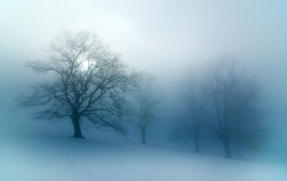 100 дивовижних фотографій туману