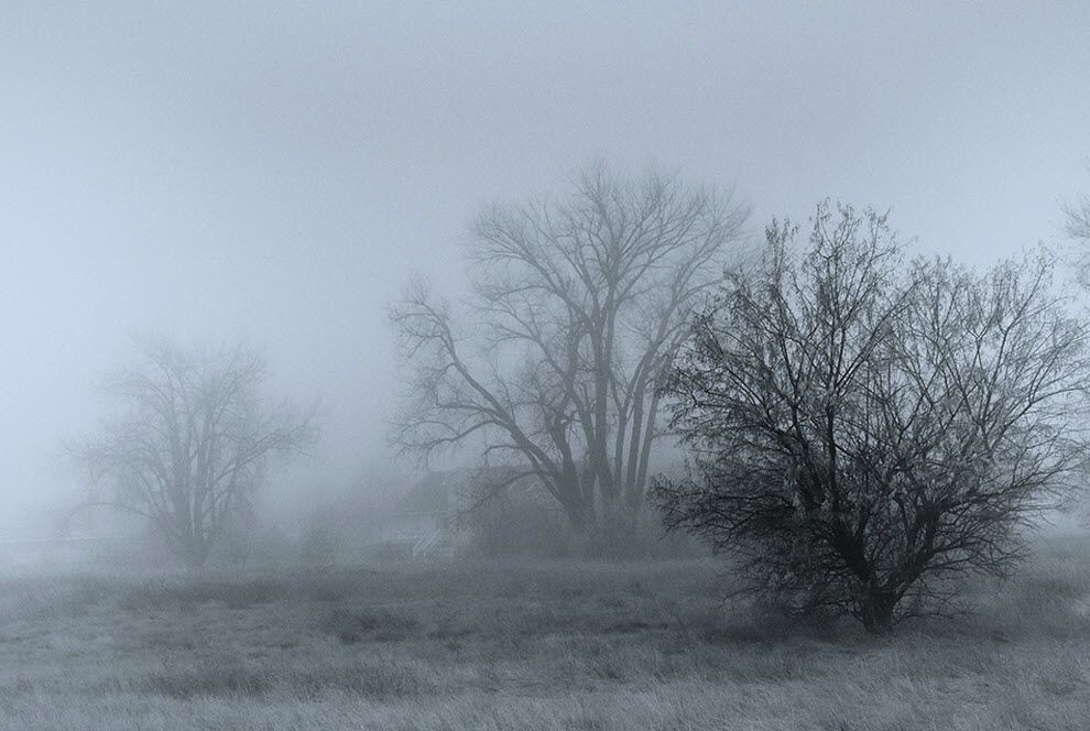 100 дивовижних фотографій туману