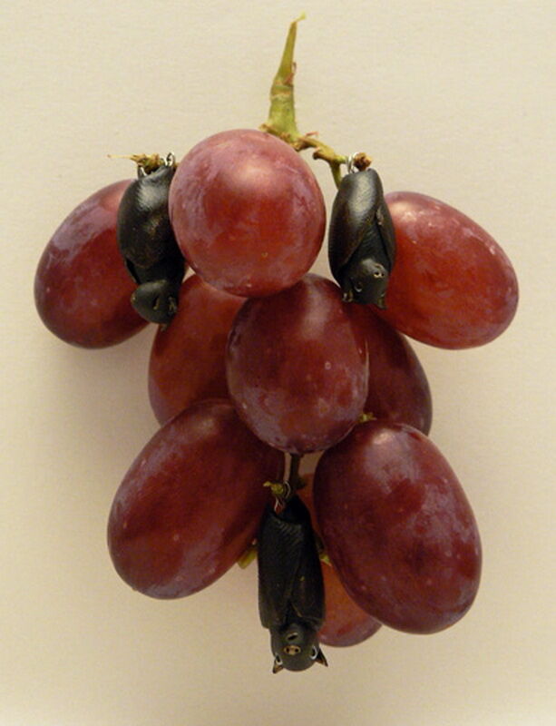 Смешные фрукты