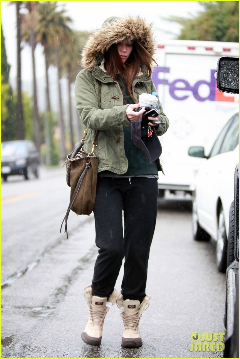 Фокс мокнет под дождем