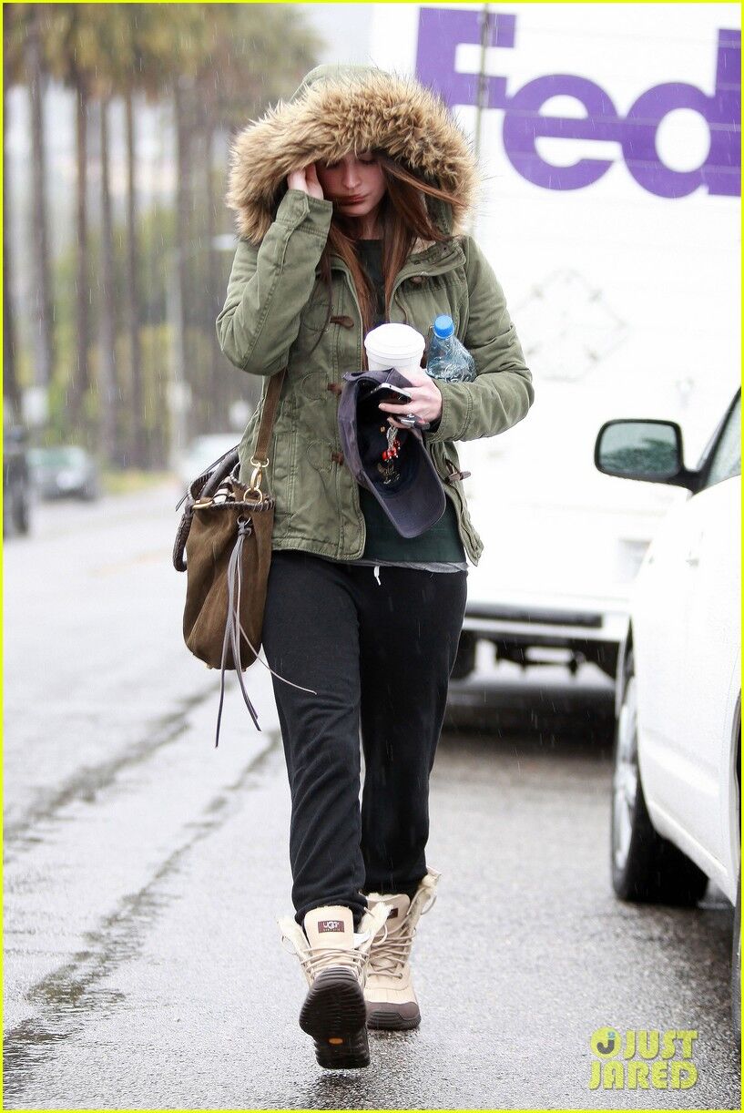 Фокс мокнет под дождем