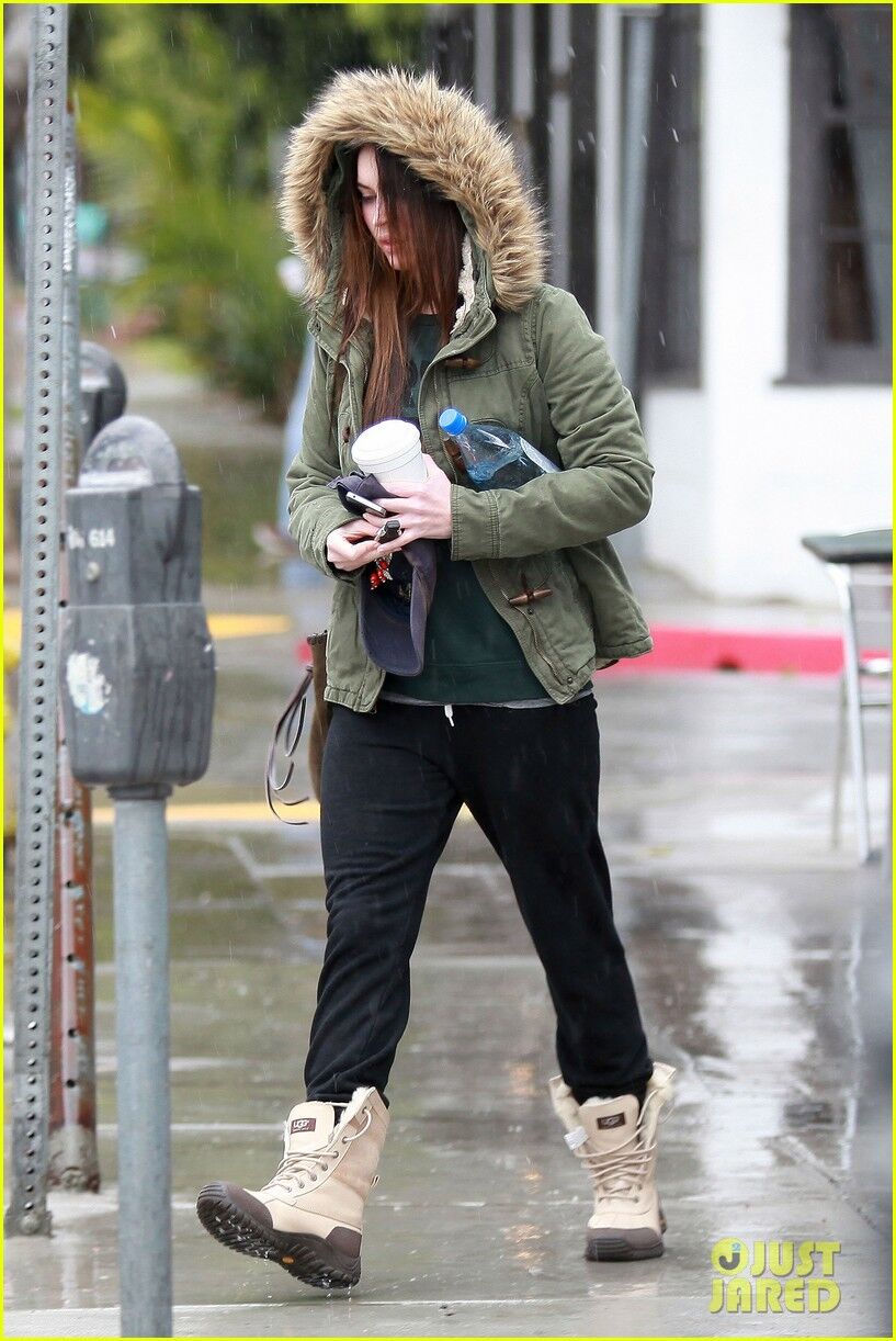 Фокс мокнет под дождем