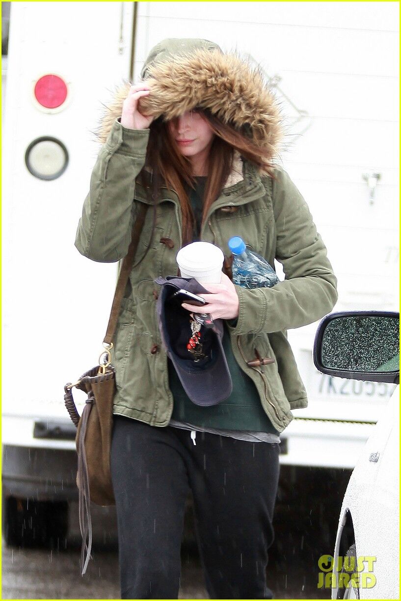 Фокс мокнет под дождем