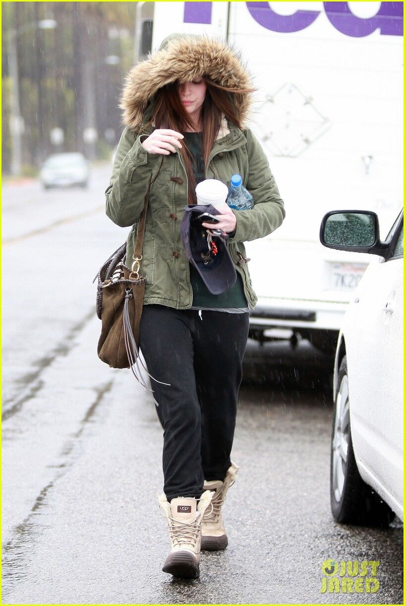 Фокс мокнет под дождем