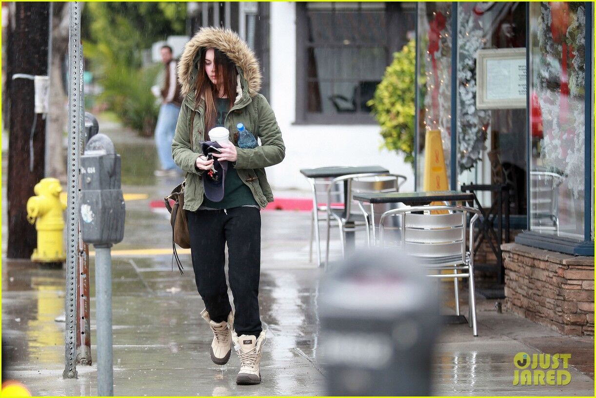 Фокс мокнет под дождем