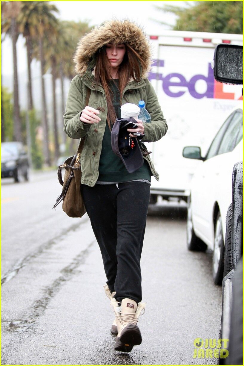 Фокс мокнет под дождем