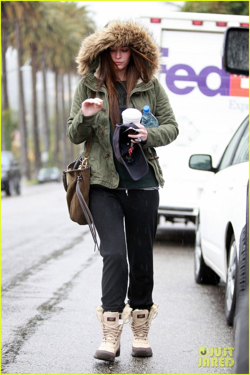 Фокс мокнет под дождем