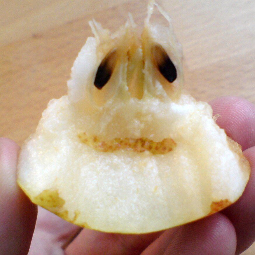 Смешные фрукты