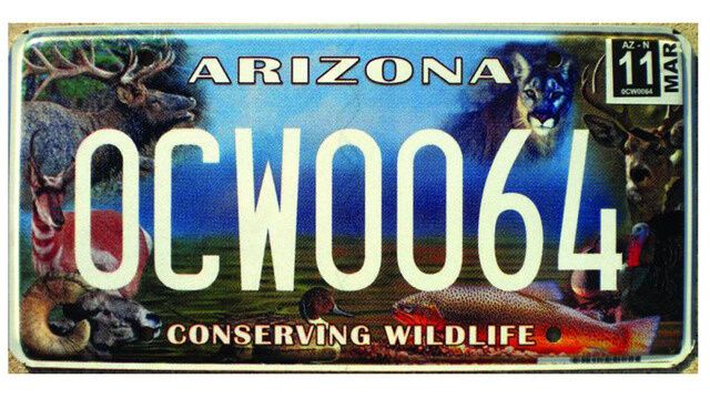 Названы 12 самых красивых автомобильных номеров. Фото