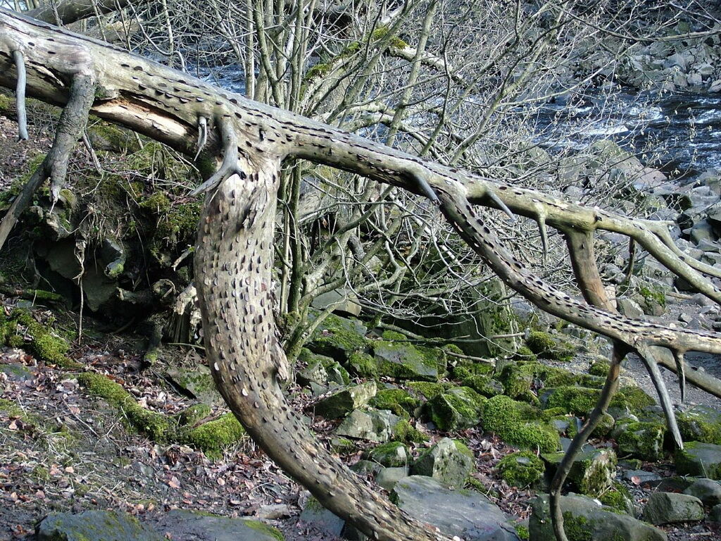 Деньги не растут на деревьях… или все-таки растут?